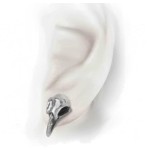 Rabeschadel Pewter Raven Skull Stud Earrings