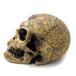 Omega Alchemists Skull Resin Statue