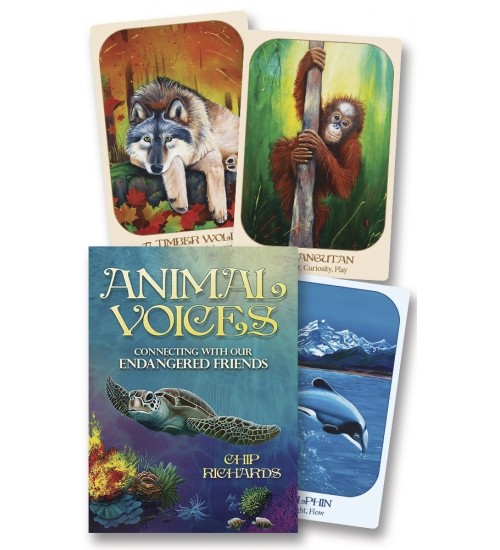 Animal Voices Oracle Cards