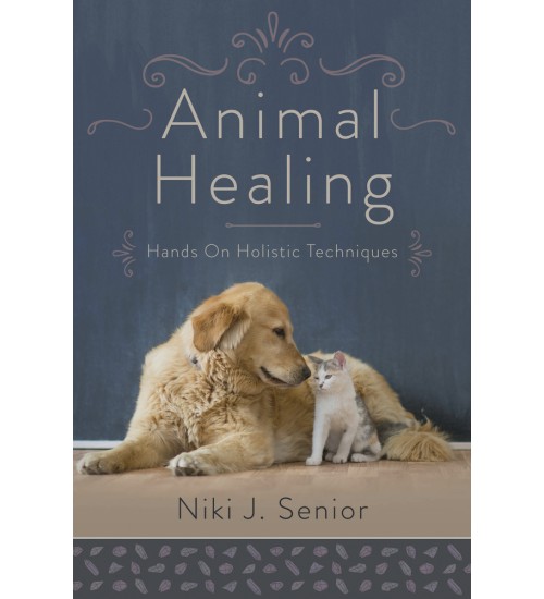 Animal Healing