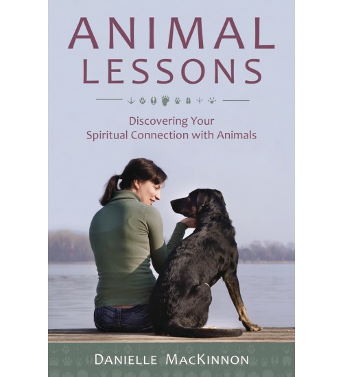 Animal Lessons