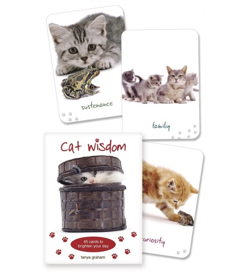 Cat Wisdom Cards