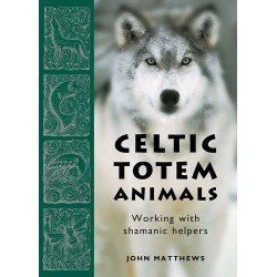 Celtic Totem Animals