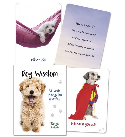 Dog Wisdom Cards