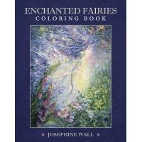 Enchanted Fairies Coloring Book