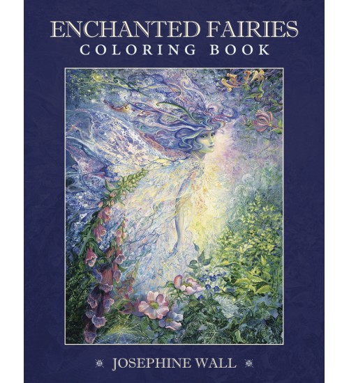 Enchanted Fairies Coloring Book