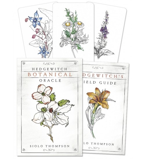 Hedgewitch Botanical Oracle Cards