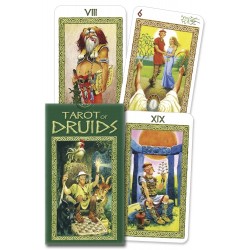 Tarot of Druids Cards
