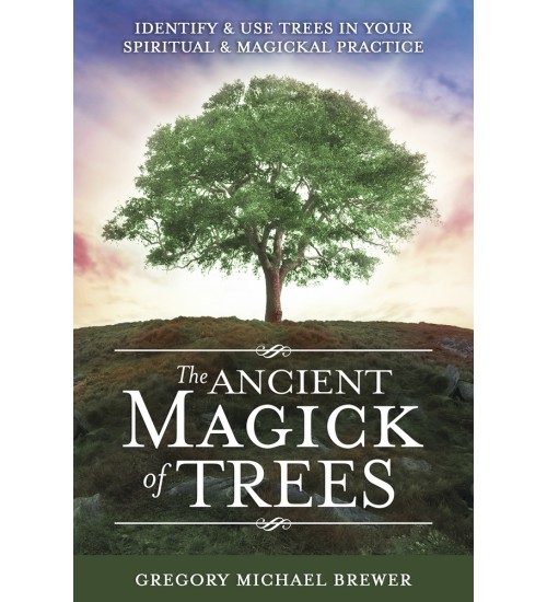 The Ancient Magick of Trees
