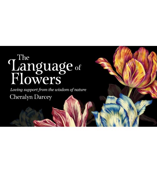 The Language of Flowers Cards