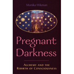 The Pregnant Darkness
