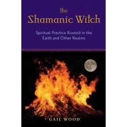 The Shamanic Witch