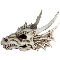 Dragon Skull Statue