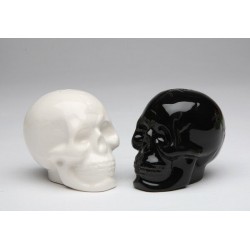 Skull Salt and Pepper Shaker Set