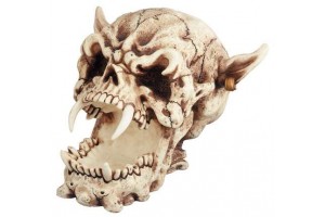 Skulls and the Macabre Skulls and the Macabre