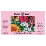 Enchanted Forest Oil Blend