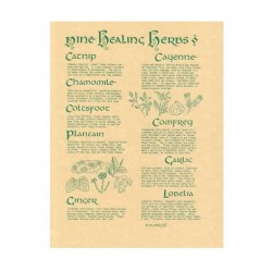 9 Healing Herbs Parchment Poster