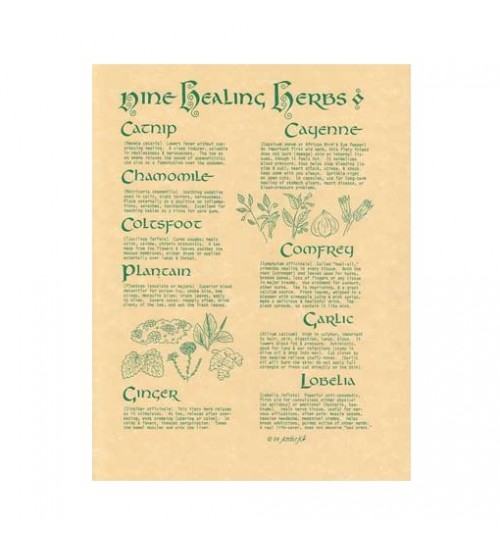 9 Healing Herbs Parchment Poster