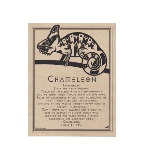 Chameleon Parchment Poster