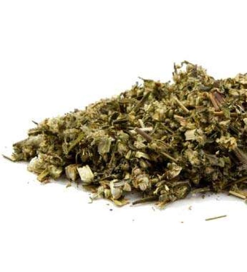 Mugwort Organic Bulk Herb